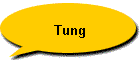 Tung